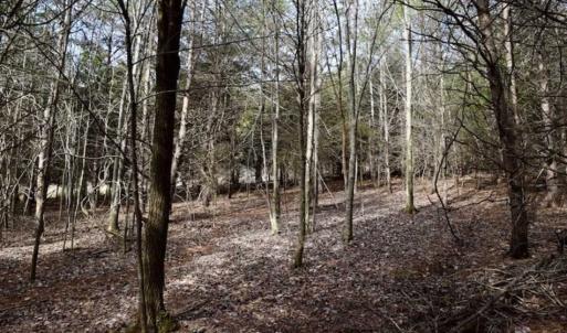Photo of 15.96 Acres of Residential Hunting Land For Sale In Bedford County VA!