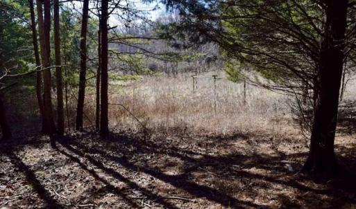 Photo of 15.96 Acres of Residential Hunting Land For Sale In Bedford County VA!