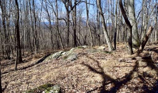 Photo of 15.96 Acres of Residential Hunting Land For Sale In Bedford County VA!