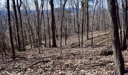 Photo of 15.96 Acres of Residential Hunting Land For Sale In Bedford County VA!