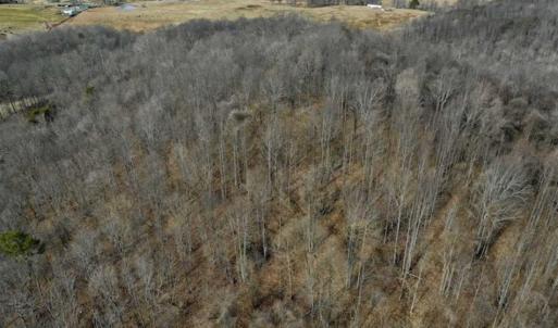 Photo of 15.96 Acres of Residential Hunting Land For Sale In Bedford County VA!