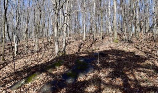 Photo of 15.96 Acres of Residential Hunting Land For Sale In Bedford County VA!