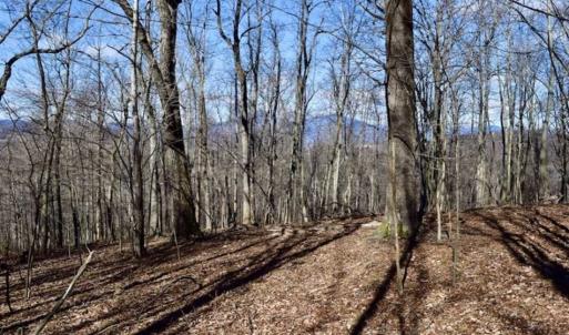 Photo of 15.96 Acres of Residential Hunting Land For Sale In Bedford County VA!