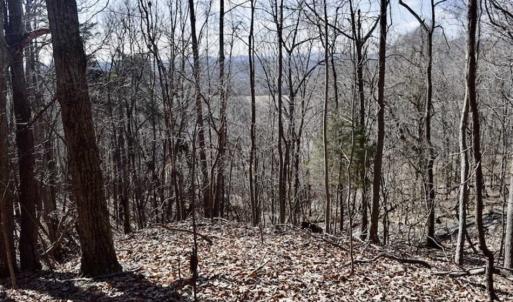 Photo of 15.96 Acres of Residential Hunting Land For Sale In Bedford County VA!