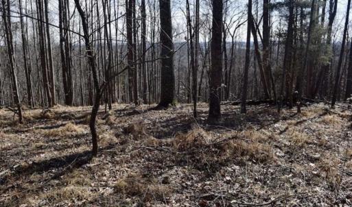 Photo of 15.96 Acres of Residential Hunting Land For Sale In Bedford County VA!