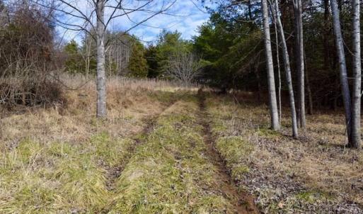 Photo of 15.96 Acres of Residential Hunting Land For Sale In Bedford County VA!