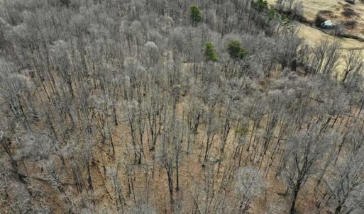 Photo of 15.96 Acres of Residential Hunting Land For Sale In Bedford County VA!