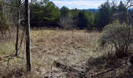 Photo of 15.96 Acres of Residential Hunting Land For Sale In Bedford County VA!