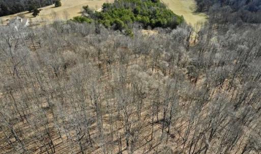 Photo of 15.96 Acres of Residential Hunting Land For Sale In Bedford County VA!