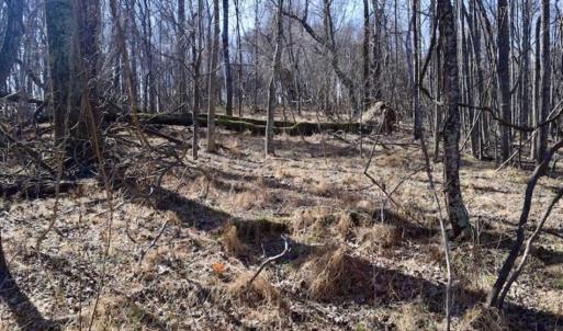 Photo of 15.96 Acres of Residential Hunting Land For Sale In Bedford County VA!