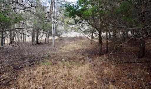 Photo of 15.96 Acres of Residential Hunting Land For Sale In Bedford County VA!