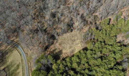 Photo of 15.96 Acres of Residential Hunting Land For Sale In Bedford County VA!