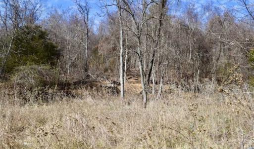 Photo of 15.96 Acres of Residential Hunting Land For Sale In Bedford County VA!