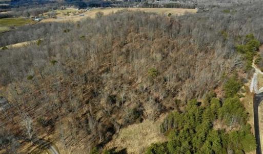 Photo of 15.96 Acres of Residential Hunting Land For Sale In Bedford County VA!