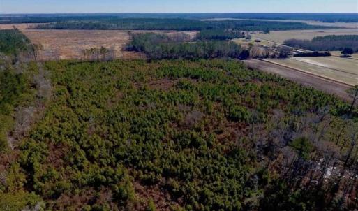 Photo of UNDER CONTRACT!!  29 Acres of Hunting and Farm Land For Sale in Craven County NC!