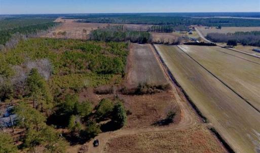 Photo of UNDER CONTRACT!!  29 Acres of Hunting and Farm Land For Sale in Craven County NC!