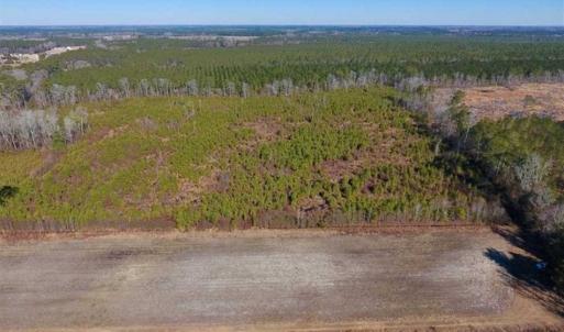 Photo of UNDER CONTRACT!!  29 Acres of Hunting and Farm Land For Sale in Craven County NC!