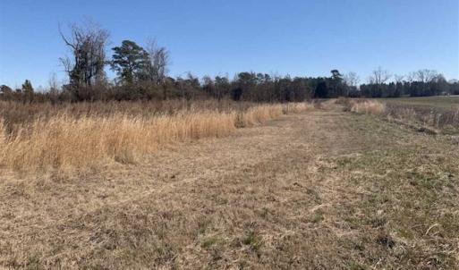 Photo of UNDER CONTRACT!!  29 Acres of Hunting and Farm Land For Sale in Craven County NC!