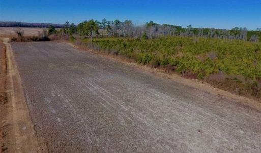 Photo of UNDER CONTRACT!!  29 Acres of Hunting and Farm Land For Sale in Craven County NC!