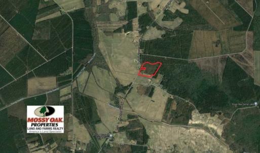 Photo of UNDER CONTRACT!!  29 Acres of Hunting and Farm Land For Sale in Craven County NC!