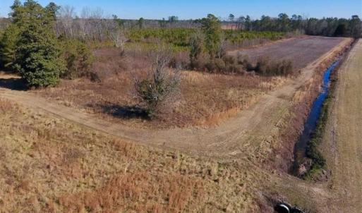 Photo of UNDER CONTRACT!!  29 Acres of Hunting and Farm Land For Sale in Craven County NC!