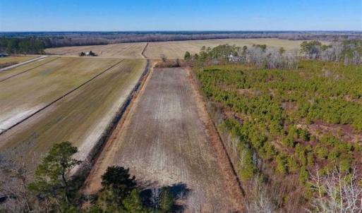 Photo of UNDER CONTRACT!!  29 Acres of Hunting and Farm Land For Sale in Craven County NC!