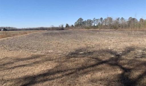 Photo of UNDER CONTRACT!!  29 Acres of Hunting and Farm Land For Sale in Craven County NC!