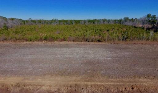 Photo of UNDER CONTRACT!!  29 Acres of Hunting and Farm Land For Sale in Craven County NC!