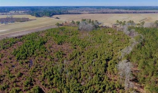 Photo of UNDER CONTRACT!!  29 Acres of Hunting and Farm Land For Sale in Craven County NC!