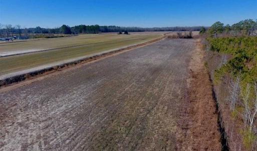 Photo of UNDER CONTRACT!!  29 Acres of Hunting and Farm Land For Sale in Craven County NC!