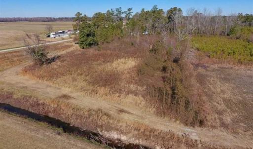 Photo of UNDER CONTRACT!!  29 Acres of Hunting and Farm Land For Sale in Craven County NC!