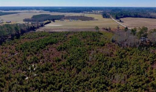 Photo of UNDER CONTRACT!!  29 Acres of Hunting and Farm Land For Sale in Craven County NC!