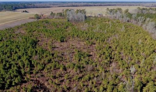 Photo of UNDER CONTRACT!!  29 Acres of Hunting and Farm Land For Sale in Craven County NC!