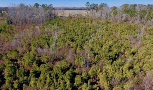 Photo of UNDER CONTRACT!!  29 Acres of Hunting and Farm Land For Sale in Craven County NC!