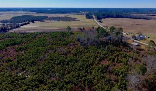 Photo of UNDER CONTRACT!!  29 Acres of Hunting and Farm Land For Sale in Craven County NC!