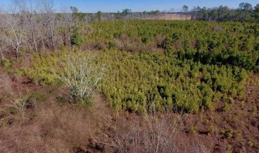 Photo of UNDER CONTRACT!!  29 Acres of Hunting and Farm Land For Sale in Craven County NC!