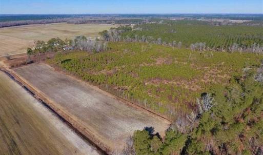 Photo of UNDER CONTRACT!!  29 Acres of Hunting and Farm Land For Sale in Craven County NC!