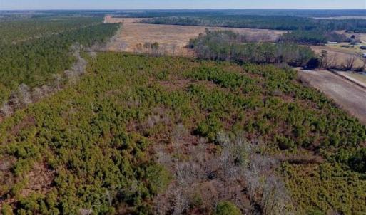 Photo of UNDER CONTRACT!!  29 Acres of Hunting and Farm Land For Sale in Craven County NC!