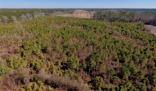 Photo of UNDER CONTRACT!!  29 Acres of Hunting and Farm Land For Sale in Craven County NC!