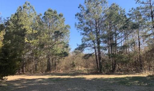 Photo of UNDER CONTRACT!!  29 Acres of Hunting and Farm Land For Sale in Craven County NC!