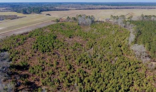 Photo of UNDER CONTRACT!!  29 Acres of Hunting and Farm Land For Sale in Craven County NC!