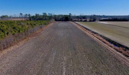 Photo of UNDER CONTRACT!!  29 Acres of Hunting and Farm Land For Sale in Craven County NC!