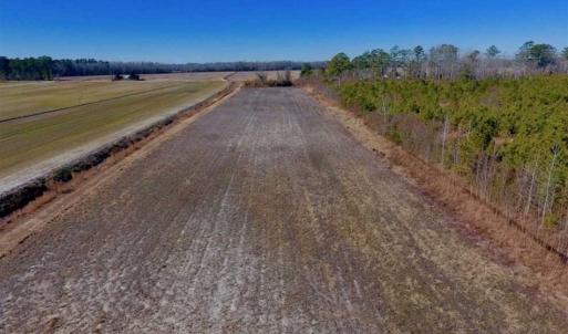 Photo of UNDER CONTRACT!!  29 Acres of Hunting and Farm Land For Sale in Craven County NC!