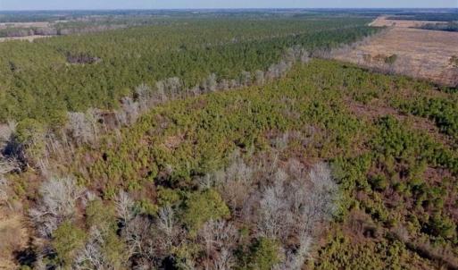 Photo of UNDER CONTRACT!!  29 Acres of Hunting and Farm Land For Sale in Craven County NC!