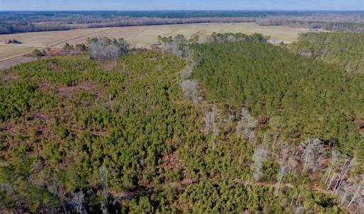 Photo of UNDER CONTRACT!!  29 Acres of Hunting and Farm Land For Sale in Craven County NC!