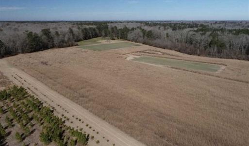 Photo of 110 Acres of Farm and Timber Land For Sale in Columbus County NC!