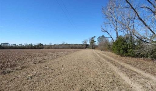 Photo of 110 Acres of Farm and Timber Land For Sale in Columbus County NC!