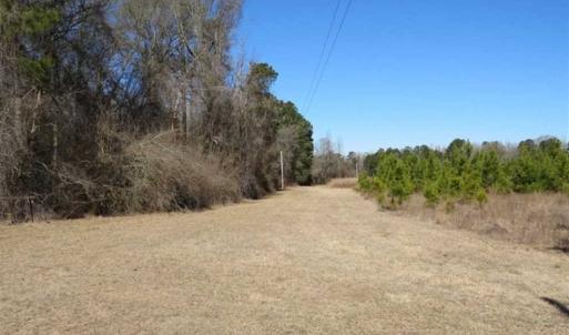 Photo of 110 Acres of Farm and Timber Land For Sale in Columbus County NC!