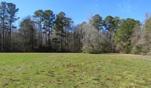 Photo of 110 Acres of Farm and Timber Land For Sale in Columbus County NC!