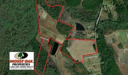 Photo of 110 Acres of Farm and Timber Land For Sale in Columbus County NC!